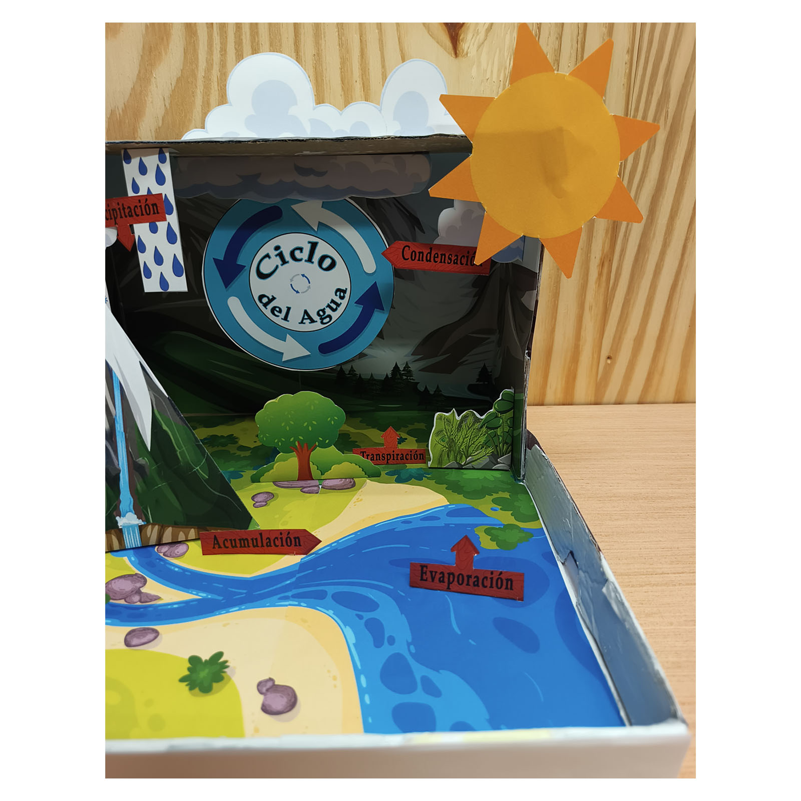 Evaporación y condensación representadas en una maqueta del ciclo del agua