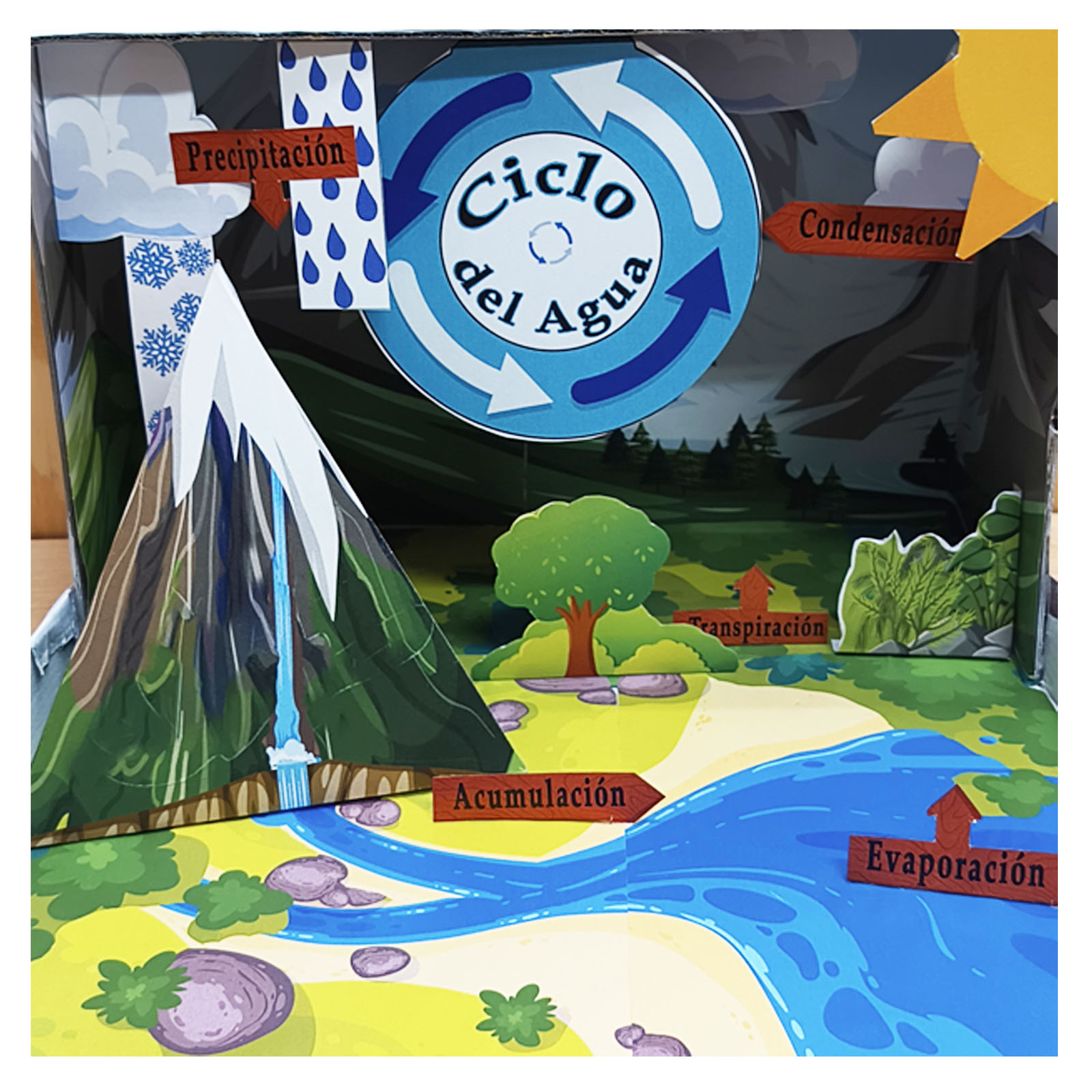 Maqueta escolar del ciclo del agua con carteles en español y paisaje tridimensional