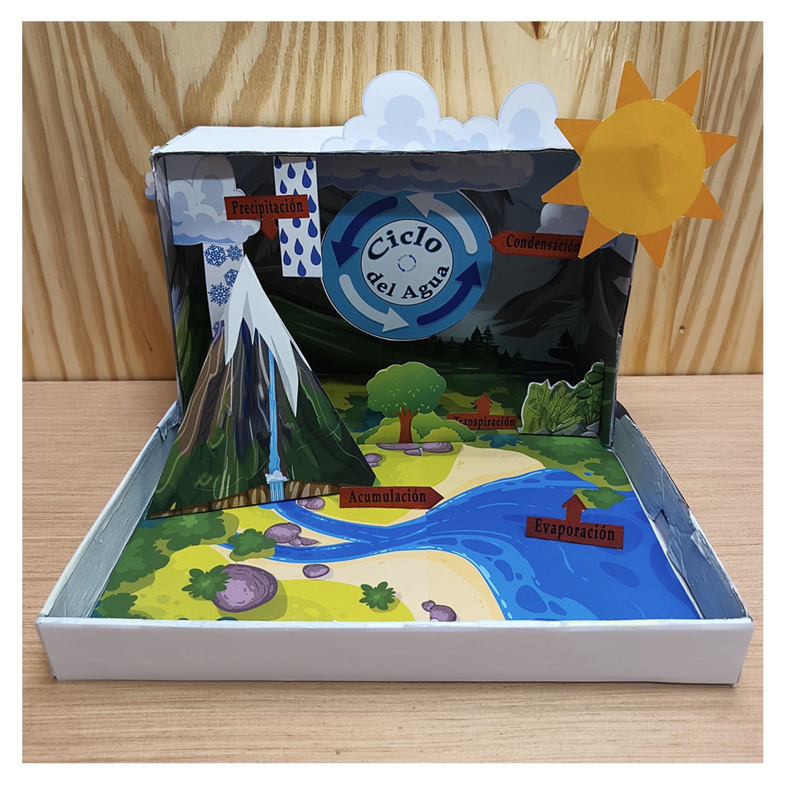 Maqueta del ciclo del agua sencilla en 3D para niños con evaporación, condensación, precipitación, acumulación y transpiración