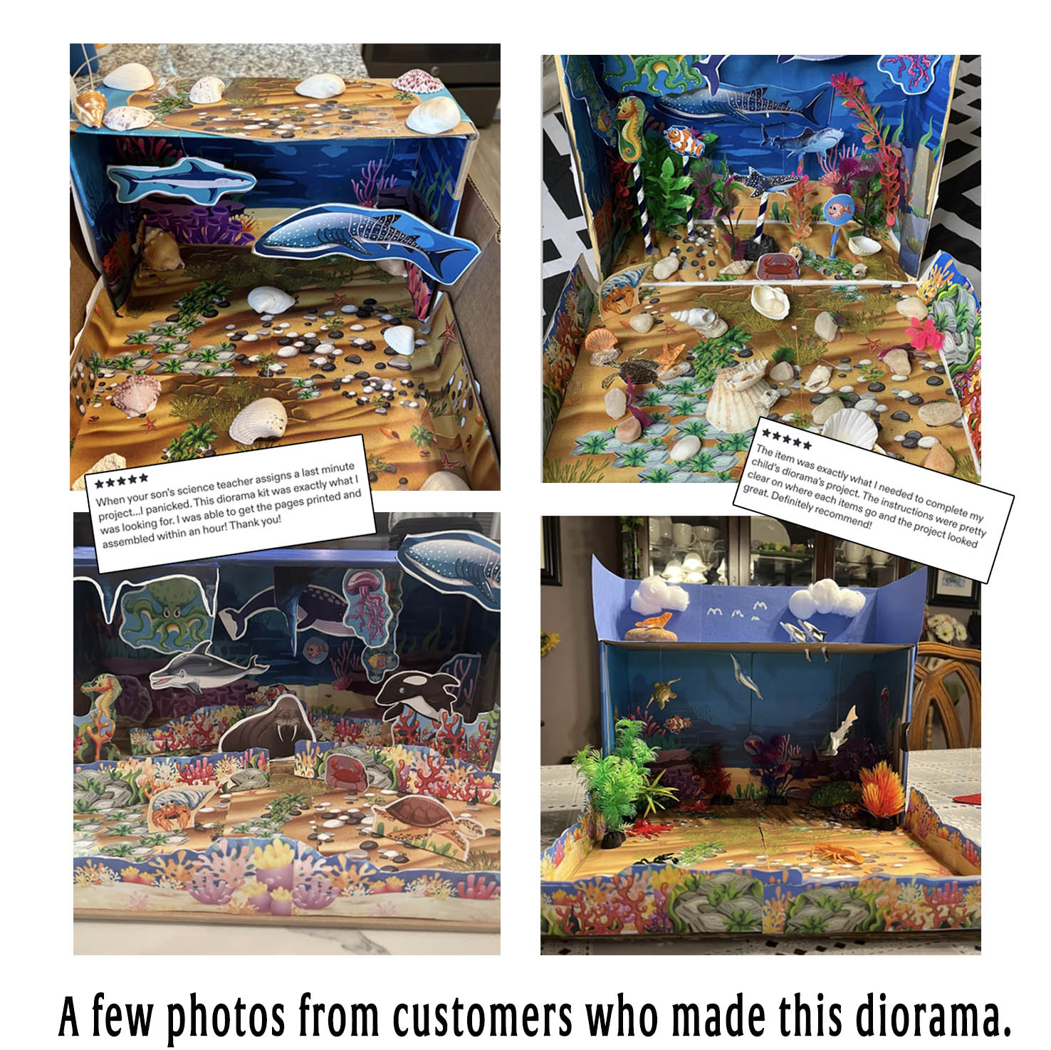 Ejemplos de maquetas del océano construidas por clientes con animales marinos y detalles añadidos